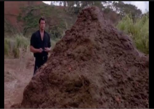 Seeing Dinosaur Poop Goldblum